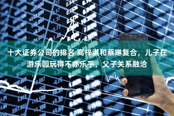 十大证券公司的排名 高梓淇和蔡琳复合，儿子在游乐园玩得不亦乐乎，父子关系融洽