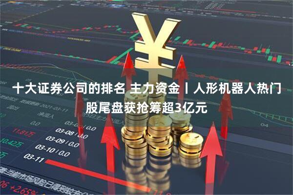 十大证券公司的排名 主力资金丨人形机器人热门股尾盘获抢筹超3亿元