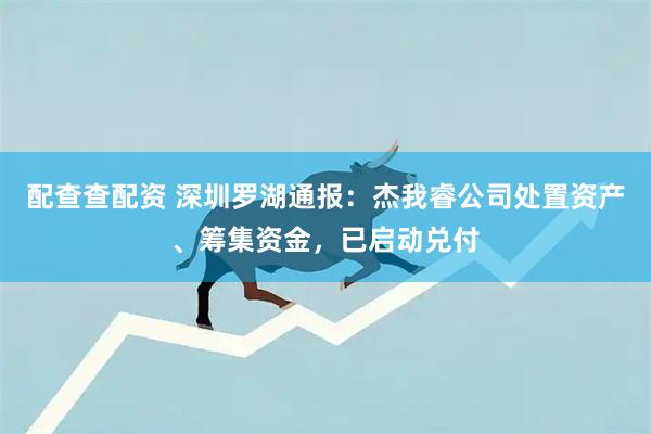 配查查配资 深圳罗湖通报：杰我睿公司处置资产、筹集资金，已启动兑付